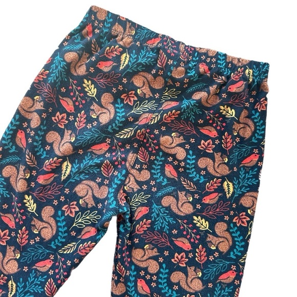 Sweetlegs  Nutty by Nature Girls 10-12 Fall Leggings - Picture 4 of 6